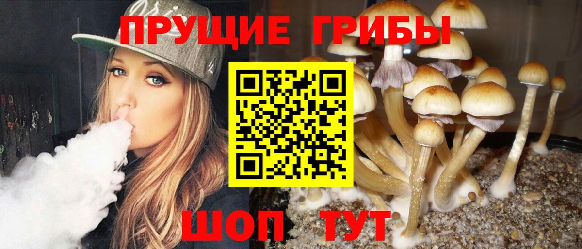 Галлюциногенные грибы Magic Shrooms  Вход с VPN  продажа наркотиков  Нерюнгри  Псилоцибиновые грибы MAGIC MUSHROOMS 
